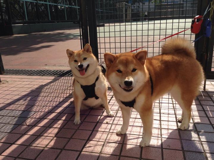 《Dota 2决赛逆转奇迹，高潮迭起燃爆全场》，dota2最经典的比赛